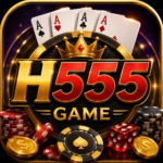 H555 Game